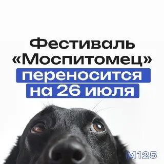 Фестиваль «Моспитомец» перенесли на 26 июля