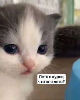 В Москве ожидается самая холодная ночь лета: температура упадет до +8 градусов