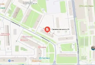 Бездомный кот укусил жителя: нужна помощь животным