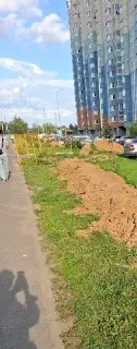 Ремонт улицы Корнилаева: восстановят газон и деревья
