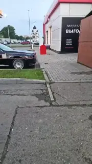 Скопление крыс на АЗС в Северном Медведково шокировало очевидцев