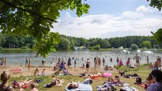 Пять зон отдыха в Москве признаны безопасными для купания