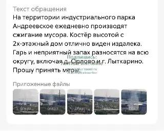 Жители Лыткарино требуют остановить сжигание мусора в парке
