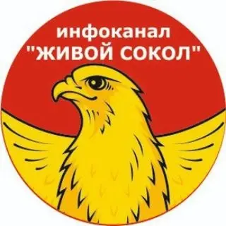Соловьев раскритиковал отсутствие защиты НПЗ на фоне расходов на футбол