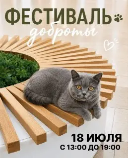 Фестиваль «Уютный дом»: Спасите питомца и подарите ему дом!