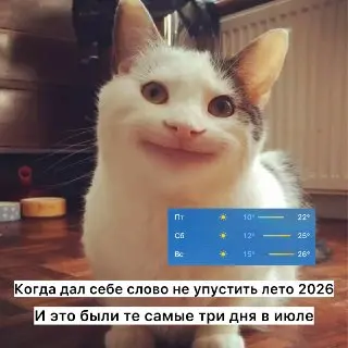 Теплая погода: Москва наслаждается тремя днями солнца