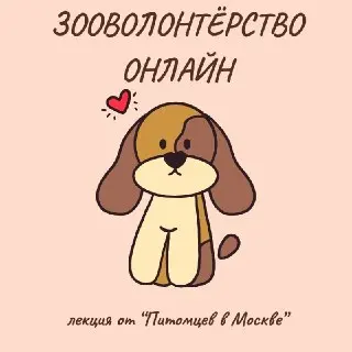 Лекция о помощи животным через соцсети: Присоединяйтесь к мероприятию!