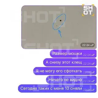 Микроклещи угрожают россиянам: как защититься от опасности