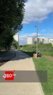 Реконструкция набережной Яузы в Мытищах: 70% завершено
