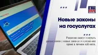 Россияне смогут получать уведомления о новых законах через Госуслуги