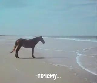 Выходные с температурой до +30 °C: как в пустыне!