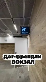 На Ленинградском вокзале открыли комнату для ухода за питомцами