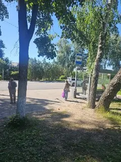 Проблемы с автобусами в Дмитрове: рейсы пропадают без объяснений