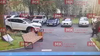 Убийство на Палехской улице: сын вывез тело отца в лес