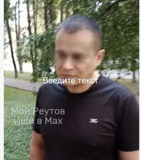 Скандал с травлей кошек и нападением на защитников в Реутове