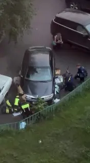 Спасение кота: спасатели извлекли животное из автомобиля