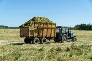 В «Архангельском» начинается заготовка сенажа для зимнего кормления