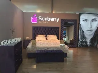 Строительство нового корпуса фабрики Sonberry: 55% готовности