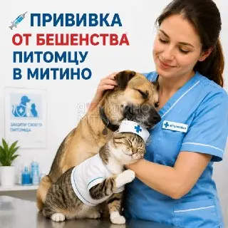 Бесплатная вакцинация от бешенства для питомцев в Митино