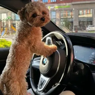 Владельцы BMW признаны худшими водителями: шокирующие данные