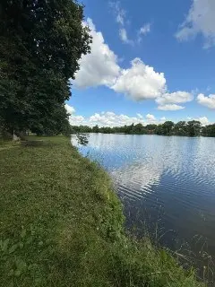 Пруд в поселке МИС преобразился: чистая вода и ухоженные берега