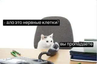Эпидемия трудоголизма: 63% россиян считают себя трудоголиками