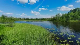 Ремонт гидротехнических сооружений на реке Сходня в Новогорске