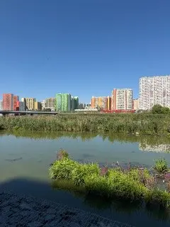 В парке Дружба зафиксированы случаи отравления животных