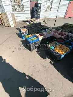 Жители Чкаловского выступили против стихийной торговли на дороге