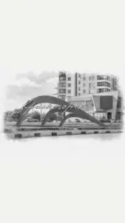 Торфяное озеро: Новые Возможности для Отдыха и Развлечений