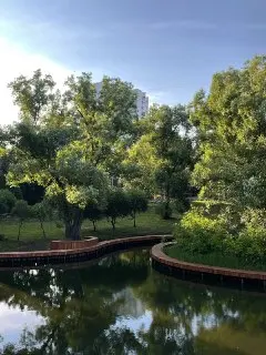Обновление парка в Бибирево: новые дорожки и уютный пруд
