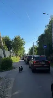 Жители ЖК «Новое Внуково» страдают от пробок на Боровском шоссе