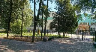 Клумбы на Аллее Победы в Железнодорожном страдают от нехватки воды