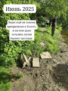 Утки сбежали: Пруд в Ольгино потерял свою привлекательность