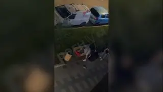 Нападение на пожилого мужчину в Домодедово: начата проверка