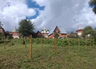 Зарайское Вино: Подмосковье Открывает Новые Горизонты Виноделия