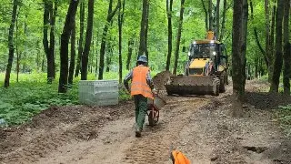 В Красногорске продолжается благоустройство городского парка