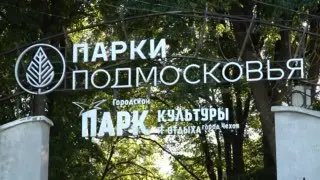 Фестиваль «Ночь в Парке» собрал сотни гостей в Чехове