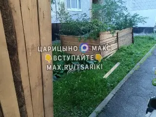 Замена асфальта на Кантемировской: что ждет жителей?