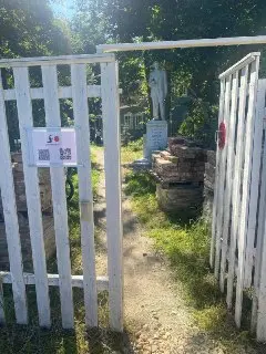 Литературный праздник в честь Маяковского прошел в Пушкино