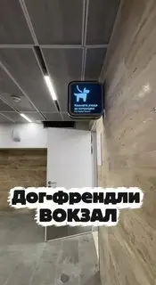 На Ленинградском вокзале открыли комнаты для ухода за питомцами