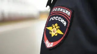В Истре раскрыта подпольная ферма по выращиванию конопли