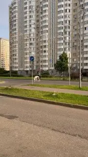 Жители переходят на экологичный транспорт, очереди на заправках сокращаются