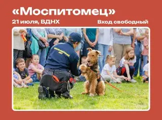 Фестиваль «Моспитомец» на ВДНХ: Уход за питомцами и выставка