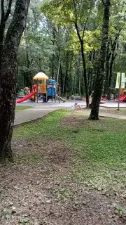 Возвращение шкафа для книг в парк Дубки: просьба жителей