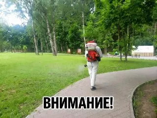 Обработка парков от клещей: расписание и закрытие территорий