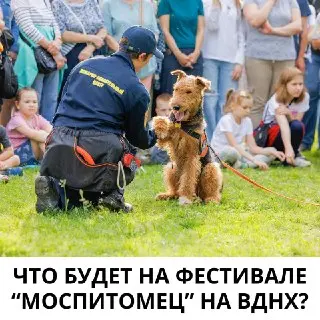 Фестиваль ‘Моспитомец’ на ВДНХ: Уход за питомцами и выставка
