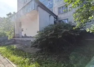 Опасное Инвазивное Растение Угрожает Фундаментам в Железнодорожном
