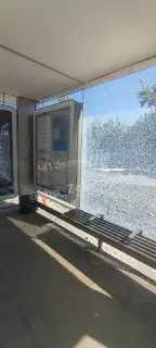 Вандалы повредили стекло на остановке «Колледж»