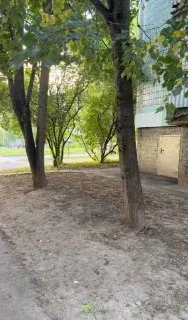 Проблемы с газоном и деревьями во дворе на Катукова